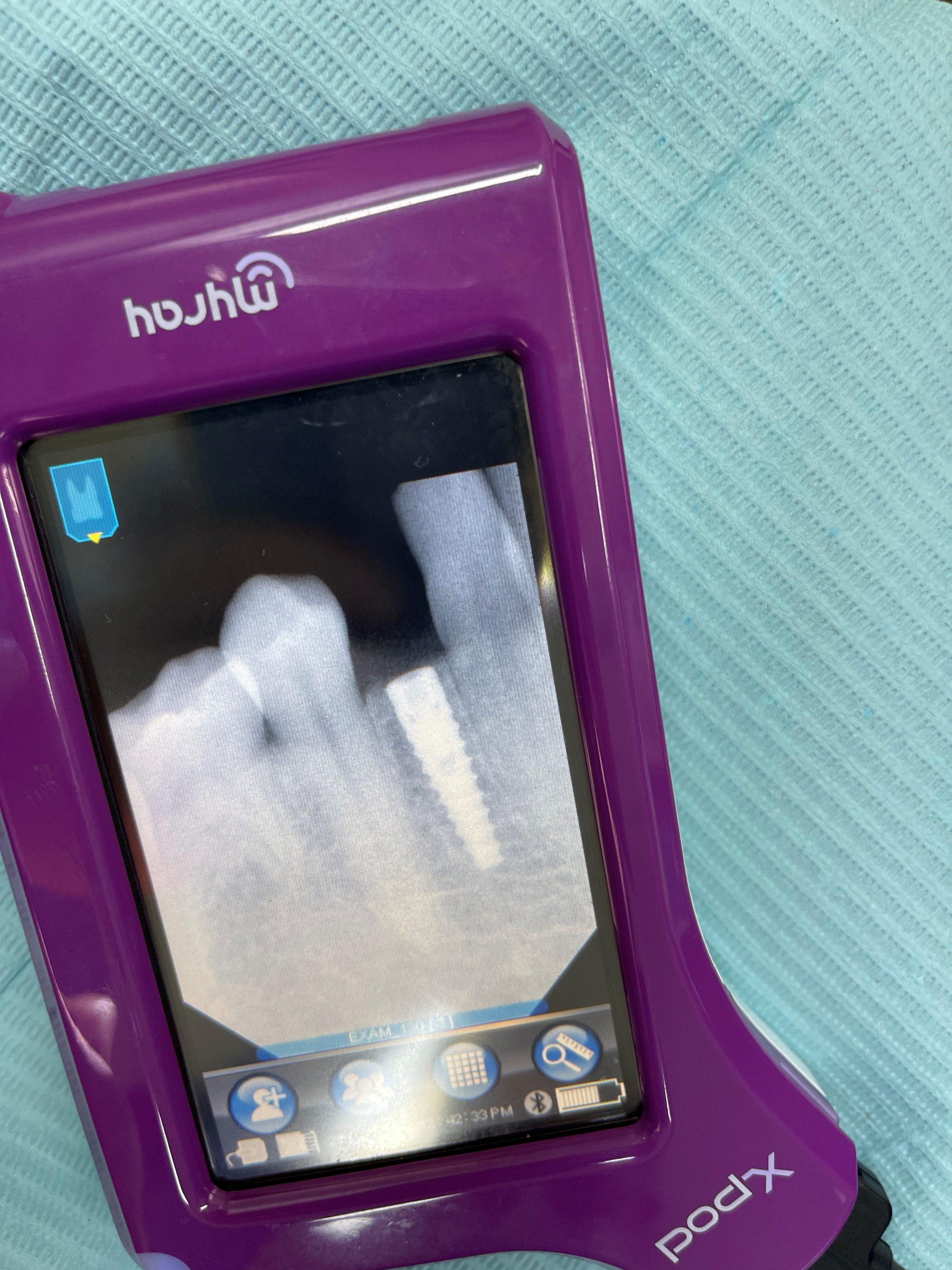 Dr. Nadeen Altaie Completes Dental Implant Seminar Training